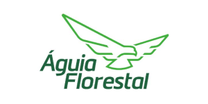 Águia Florestal